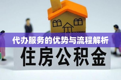 广南代办服务的优势与流程解析