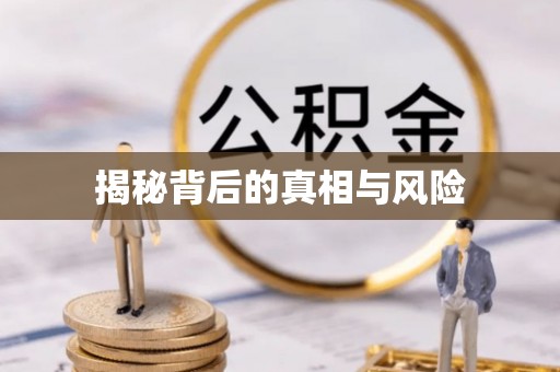 广南揭秘背后的真相与风险