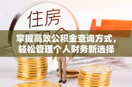 广南掌握高效公积金查询方式，轻松管理个人财务新选择