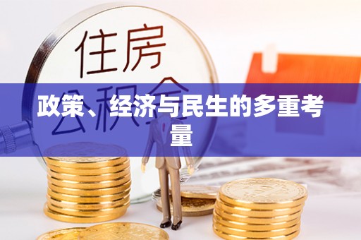 广南政策、经济与民生的多重考量
