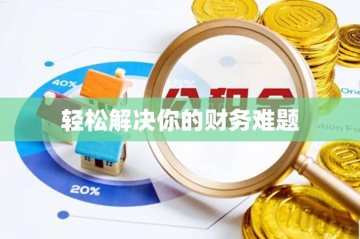 广南轻松解决你的财务难题