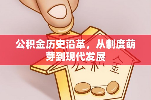 广南公积金历史沿革，从制度萌芽到现代发展