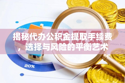 广南揭秘代办公积金提取手续费，选择与风险的平衡艺术