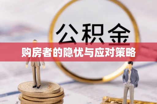 广南购房者的隐忧与应对策略