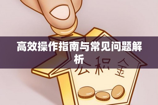 广南高效操作指南与常见问题解析