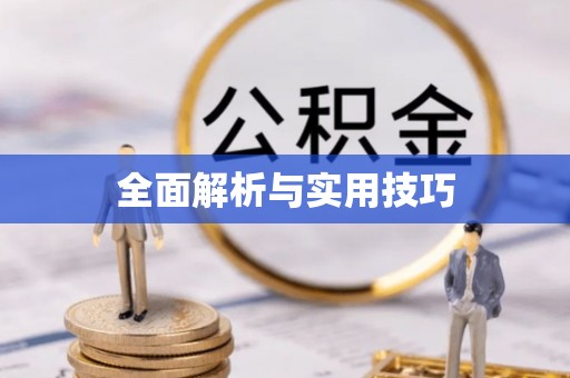 广南全面解析与实用技巧