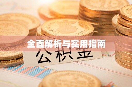广南全面解析与实用指南
